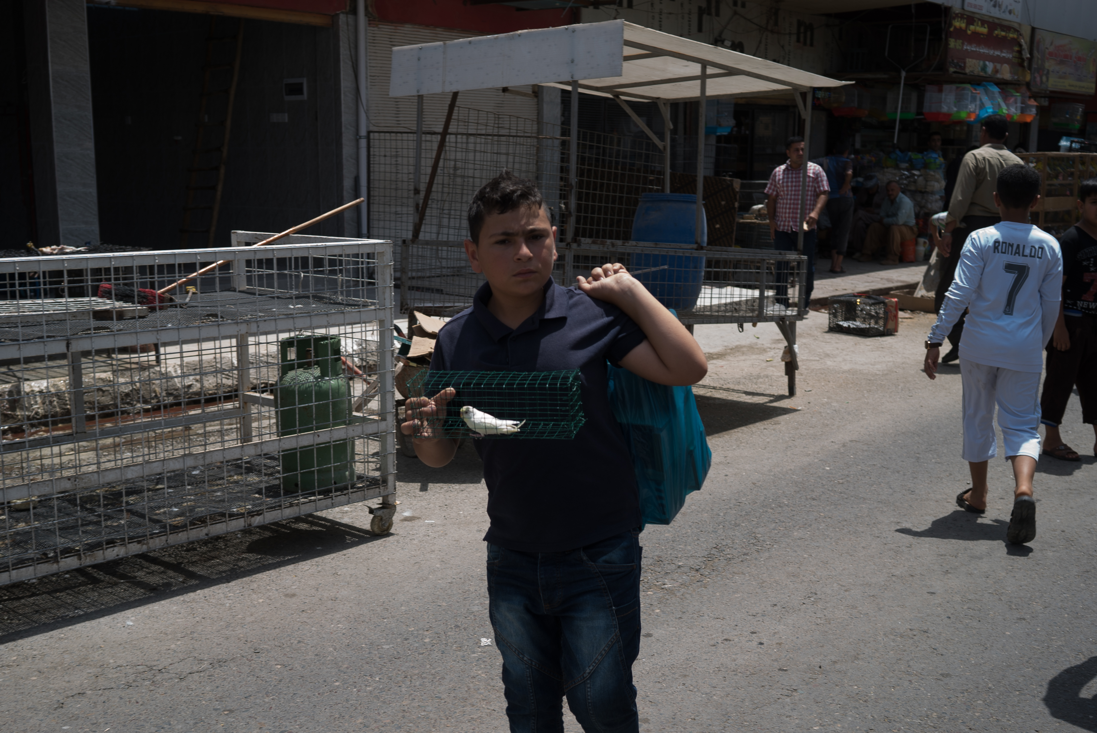 Erbil market for birds and animals, Erbil, Kurdistan Region, June 4, 2016. (Photo: Kurdistan24/Alexandre Afonso)